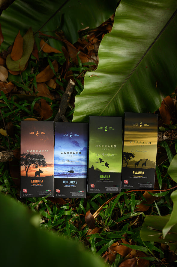 Speciality Ground Coffee Variety Pack [4x250g]